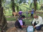 โครงการฉีดวัคซีนป้องกันโรคเท้าปากเปื่อยของโค-กระบือ