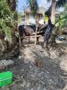โครงการฉีดวัคซีนป้องกันโรค ปาก-เท้า เปื่อยให้กับโค
